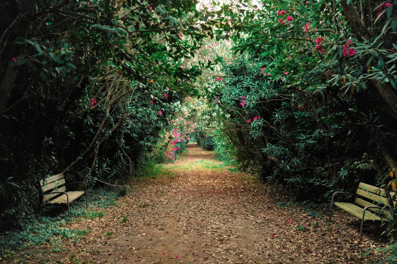 Masseria Specchiulla Otranto Dış mekan fotoğraf